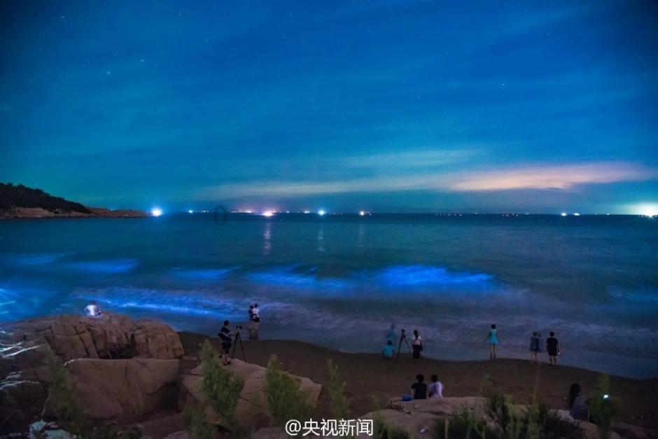 万词王