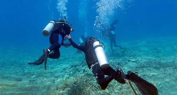 三峡旅游(002627.SZ)：2023年度净利润预增2898.64%至3821.30%