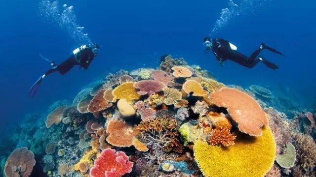 宜州区 7万多亩冬种作物铺就致富路