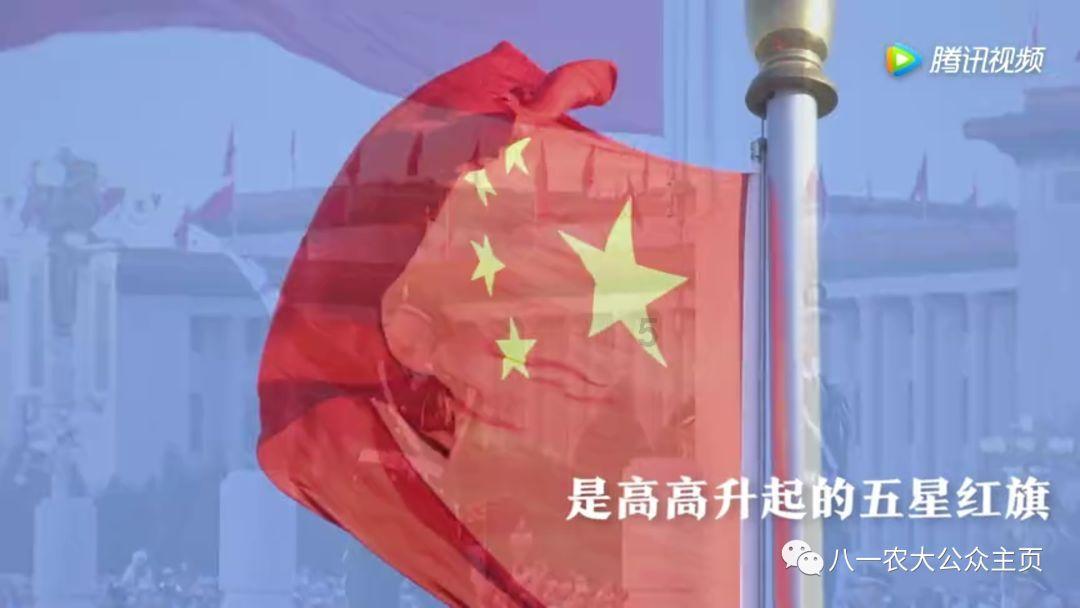 未知的岛屿